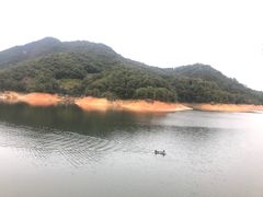 -广州市流溪河国家森林公园