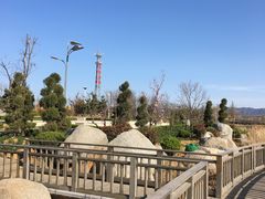 -羊亭河湿地公园