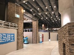 -盒马X会员店(王府井奥莱UP TOWN店)