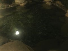 -天目湖涵田半山温泉