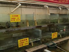 -喜洋洋蟹庄(阳澄湖店)