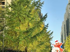 -合景·悠方(成都店)
