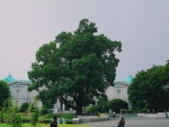 -东京国立博物馆