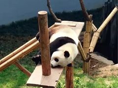 -大连森林动物园