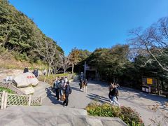 -普陀山风景区-佛顶山