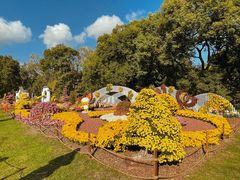 -上海共青森林公园