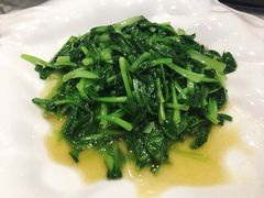 清炒时蔬-望乡楼上海菜(日月光店)