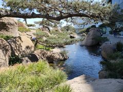 -罗红摄影艺术馆