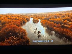 -CGV影城(万象城激光IMAX店)