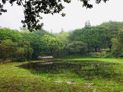 -云溪植物园