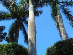 -白沙门生态公园