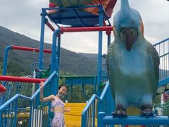 -苏州乐园森林水世界