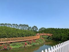 -迪茵湖田家舍生态农场