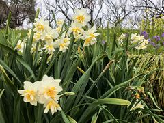 景点-上海海湾国家森林公园