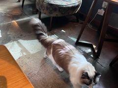 -咖法森林·咖啡  酒吧(天河店)