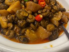 -刘胖子家常菜·蹄花焖藕(中南店)