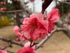 -京东石林峡风景区