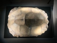 -金沙遗址博物馆