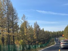 -塞罕坝国家级自然保护区