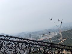 -大罗山风景区