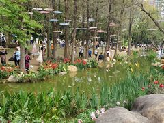 -人民公园(罗湖区)