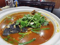 -四季春(美食街店)