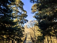 -沈阳市东陵公园