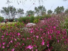 -汉长安城未央宫国家考古遗址公园