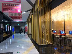 -上影国际影城(普陀绿地缤纷城店)