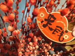 -小龙坎老火锅(展览馆店)