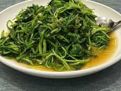 -金春禧(先天下店)