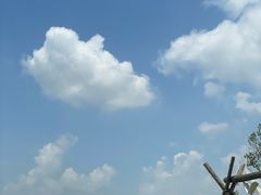 -空港花田景区
