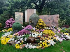 -杭州植物园