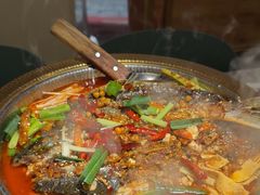 -肥家大排档(天河体育西店)