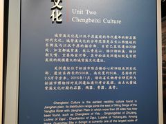 -荆州博物馆