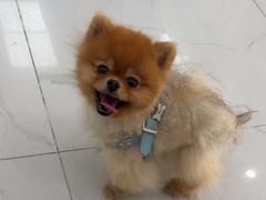 -纳吉亚猫专科动物诊疗中心(蒋宅口分院)