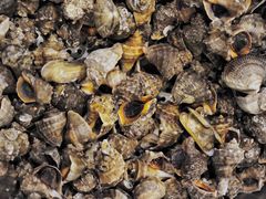 -赤山海景丽呈酒店