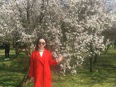 -蜀冈西峰生态公园