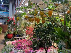 -双季花艺园艺市场(浦东店)