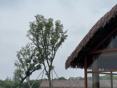 -良渚古城遗址公园