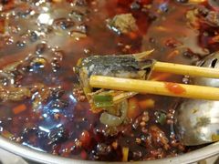 -黑竹香鸡(营和巷店)