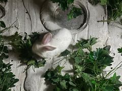 -昆明大悦城未来动物城(螺蛳湾中心店)