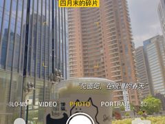 -Seesaw Coffee(上海尚悦湾店)