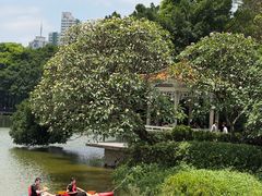 -鹿鸣酒家(越秀店)