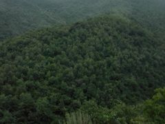 -空中草原