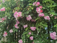 -南京点赞小馆