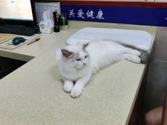 -艾贝尔宠物医院·狂犬免疫点(江山金象城店)