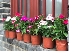 -蓬莱欧乐堡梦幻世界