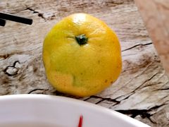 -品雅轩农家乐
