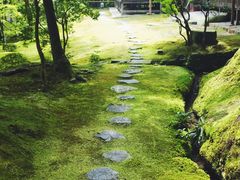 -西芳寺(苔寺)